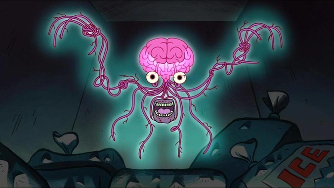 养乌龟是什么体会?